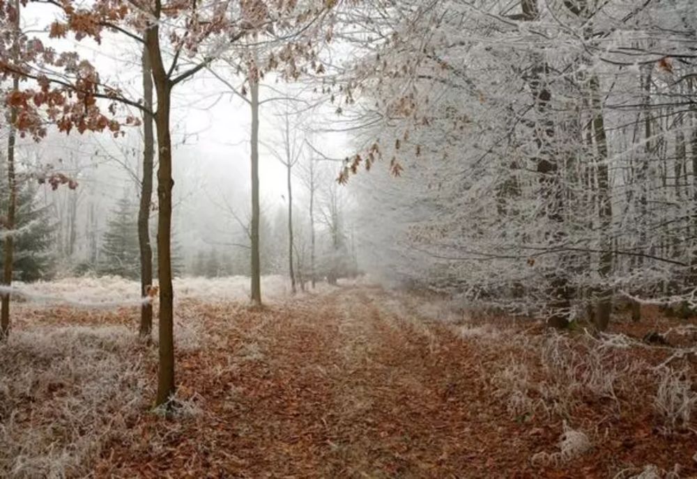 Prognoza meteo 12 decembrie. Cum va fi vremea azi