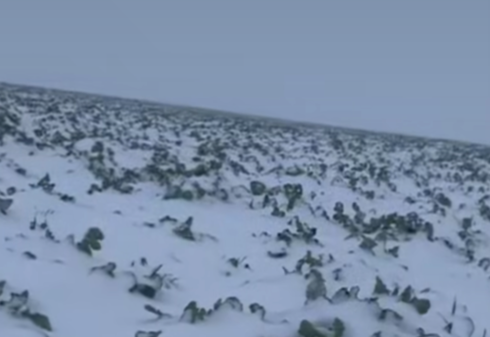 UN NOU VORTEX POLAR SE FORMEAZĂ DEASUPRA POLELUI NORD. METEOROLOGII AVERTIZEAZĂ: URMEAZĂ O IARNĂ ASPRĂ