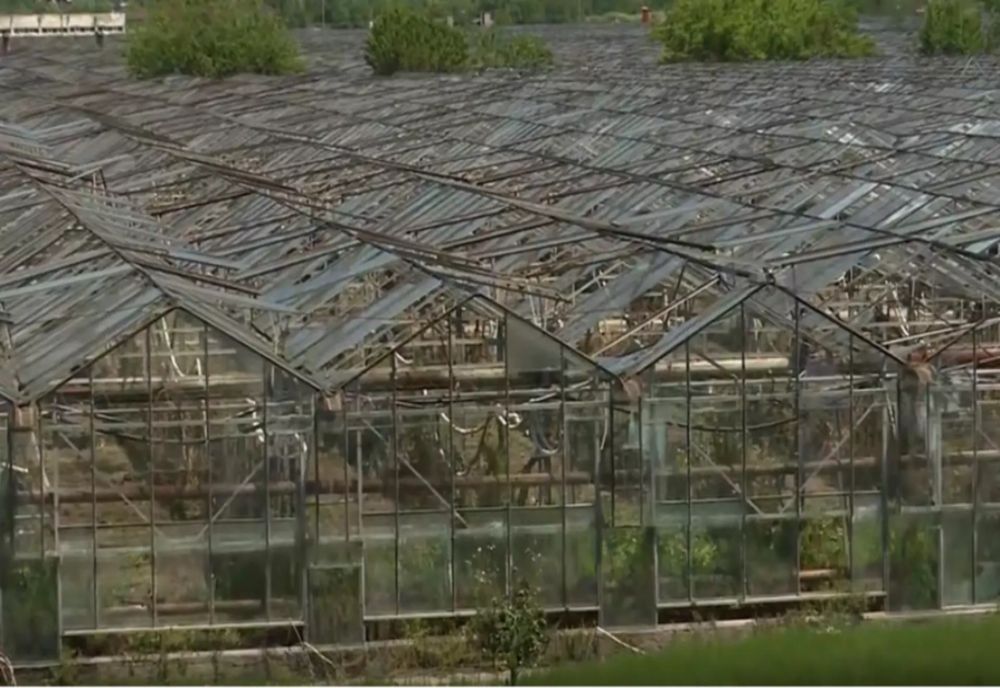 CUM ȘI-A CONSTRUIT BECALI UN IMPERIU. CIRCUITUL BANILOR 