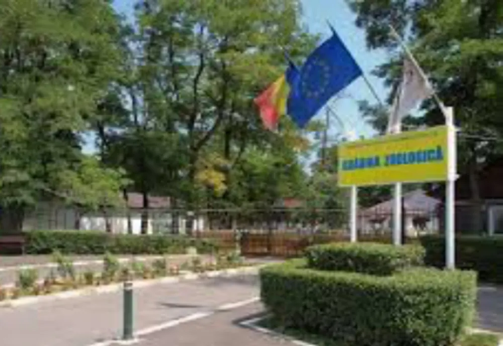 Grădina Zoo și patinoarul vor fi deschise publicului pe 1 ianuarie