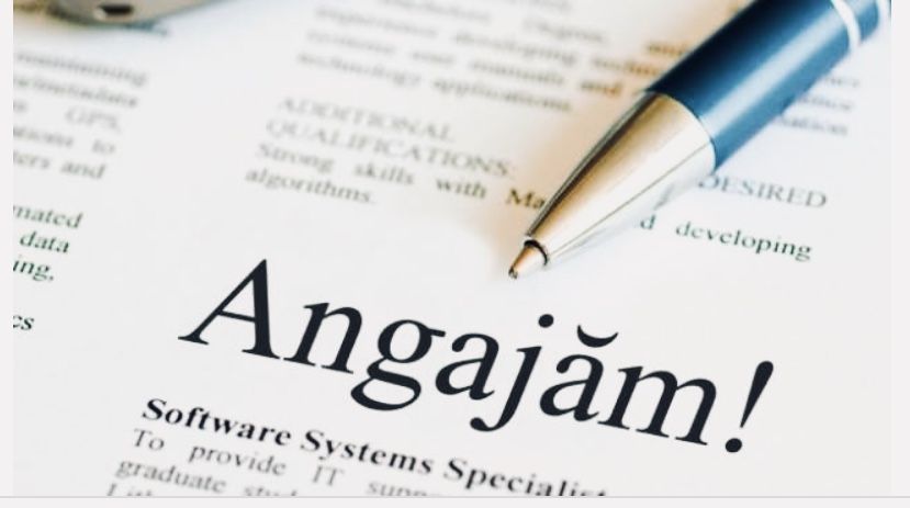 0D88A81D-BF85-4670-9032-8404E8F95639