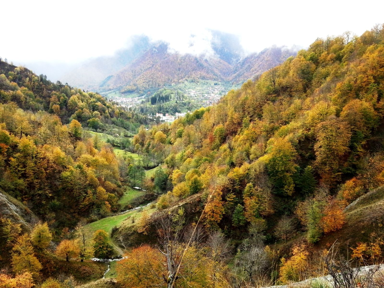 parcul national cozia