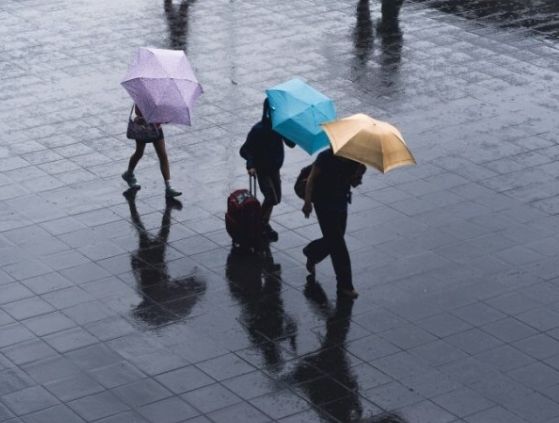 0D002BC2-446A-45DB-B79E-1019852F9A8C