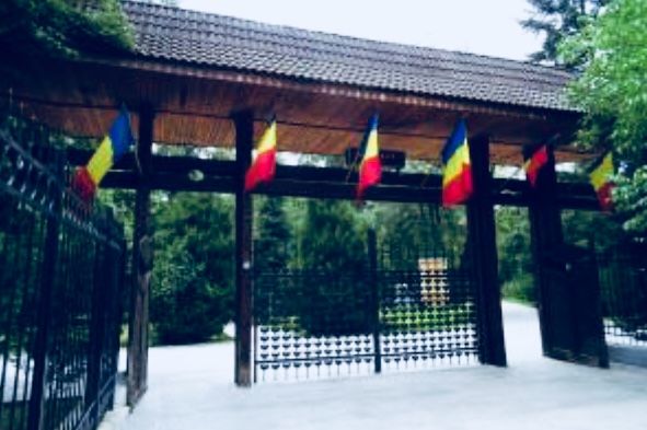 1A811CD2-91E4-43F1-B2DB-CEDD0046521B