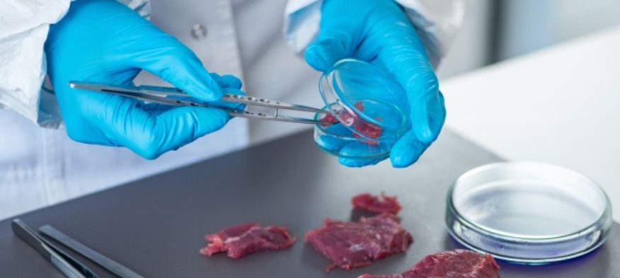 751458EC-4418-4C49-A34C-A29D782D2308