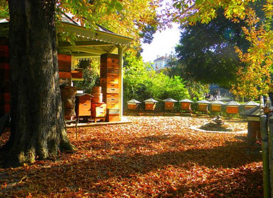 DBB7E141-3A38-44BF-9678-9DF16B037211