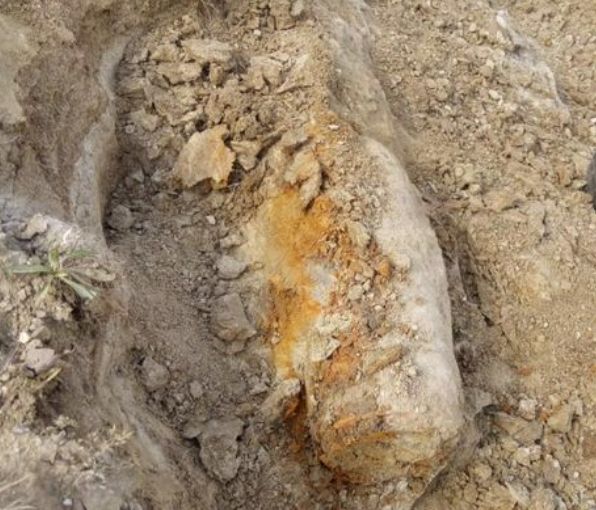 A345DCAD-79BA-470A-A5EB-B3E0F97C919B