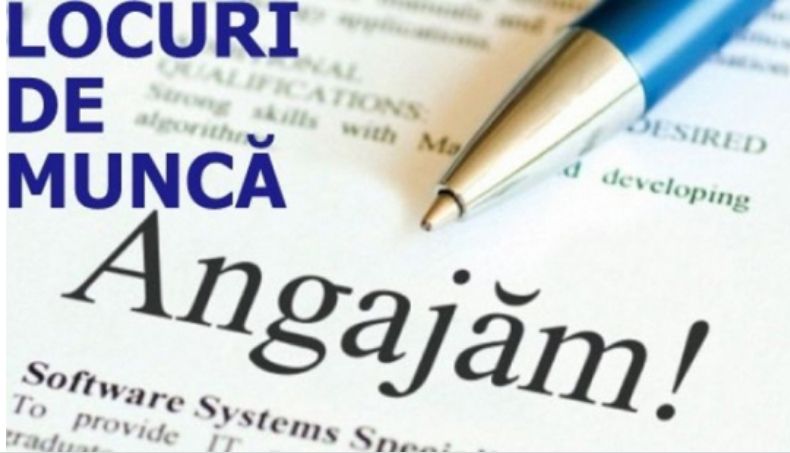 D733DD29-EE94-4EB4-BE4E-A9F11D88D0A9