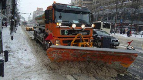 deszapezire_buc_85576100-2