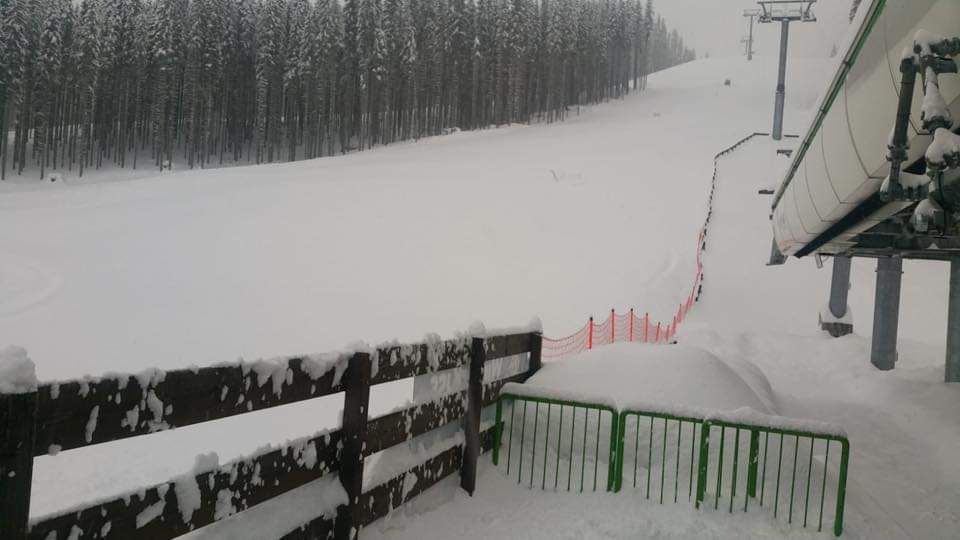 33724E9C-0330-421D-BC91-37B147AA44C2