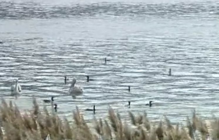 1279C46E-D503-4E0E-867F-1A7C6567B8F4