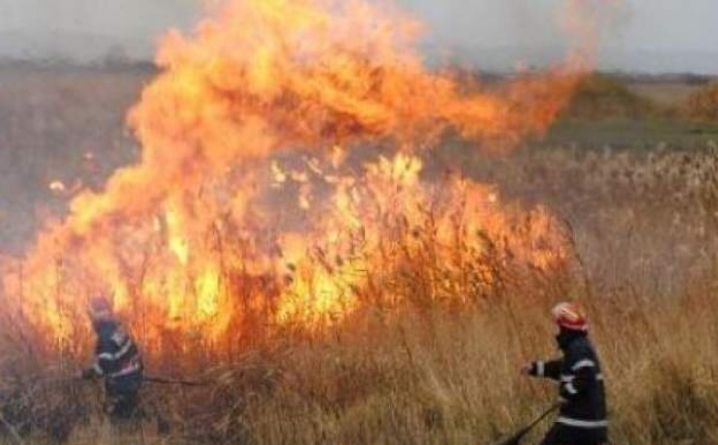 3E3F522F-5213-465D-BD35-EF13CF7AF54D