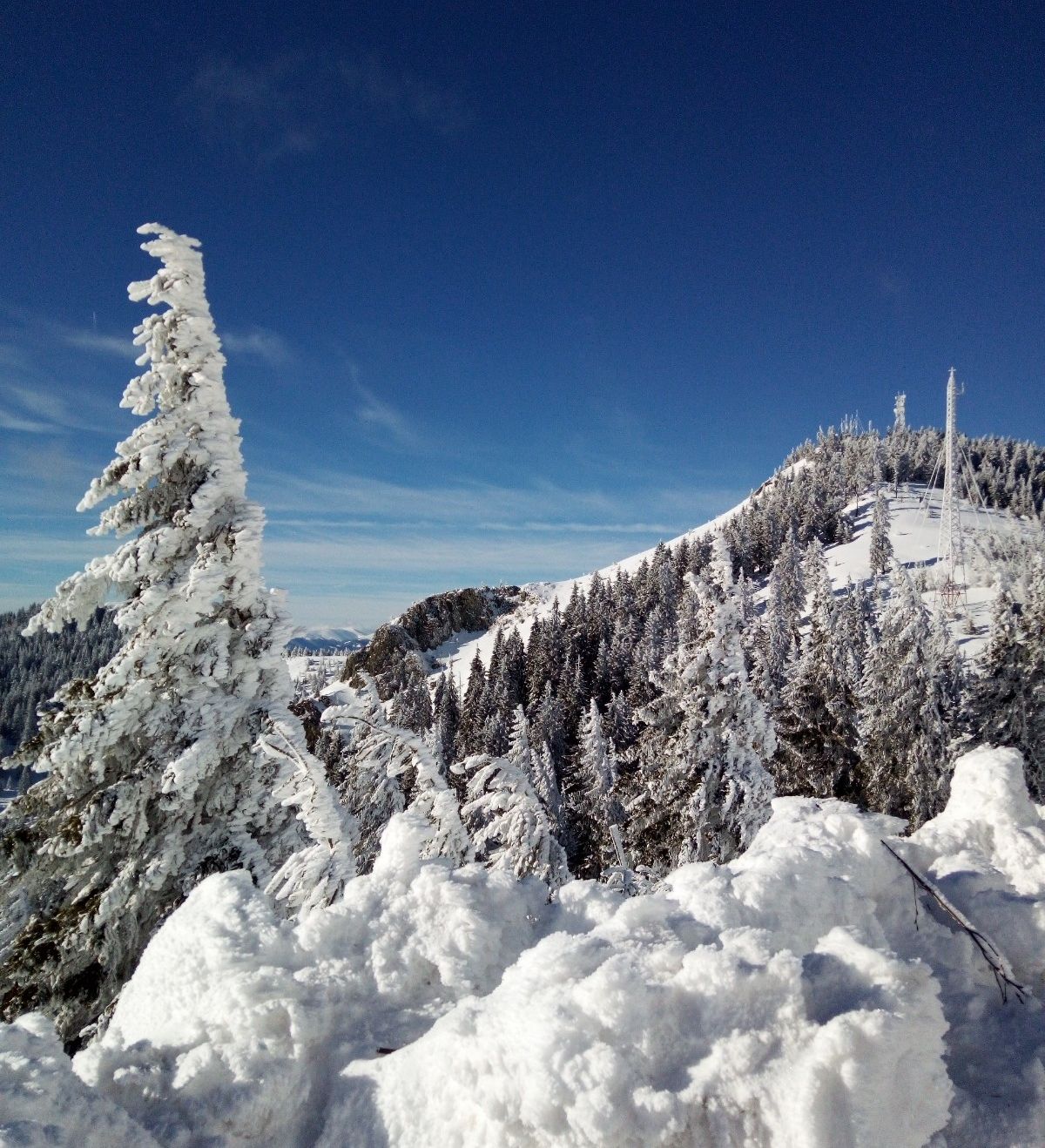 52113346_119486059175032_2001011115584126976_o