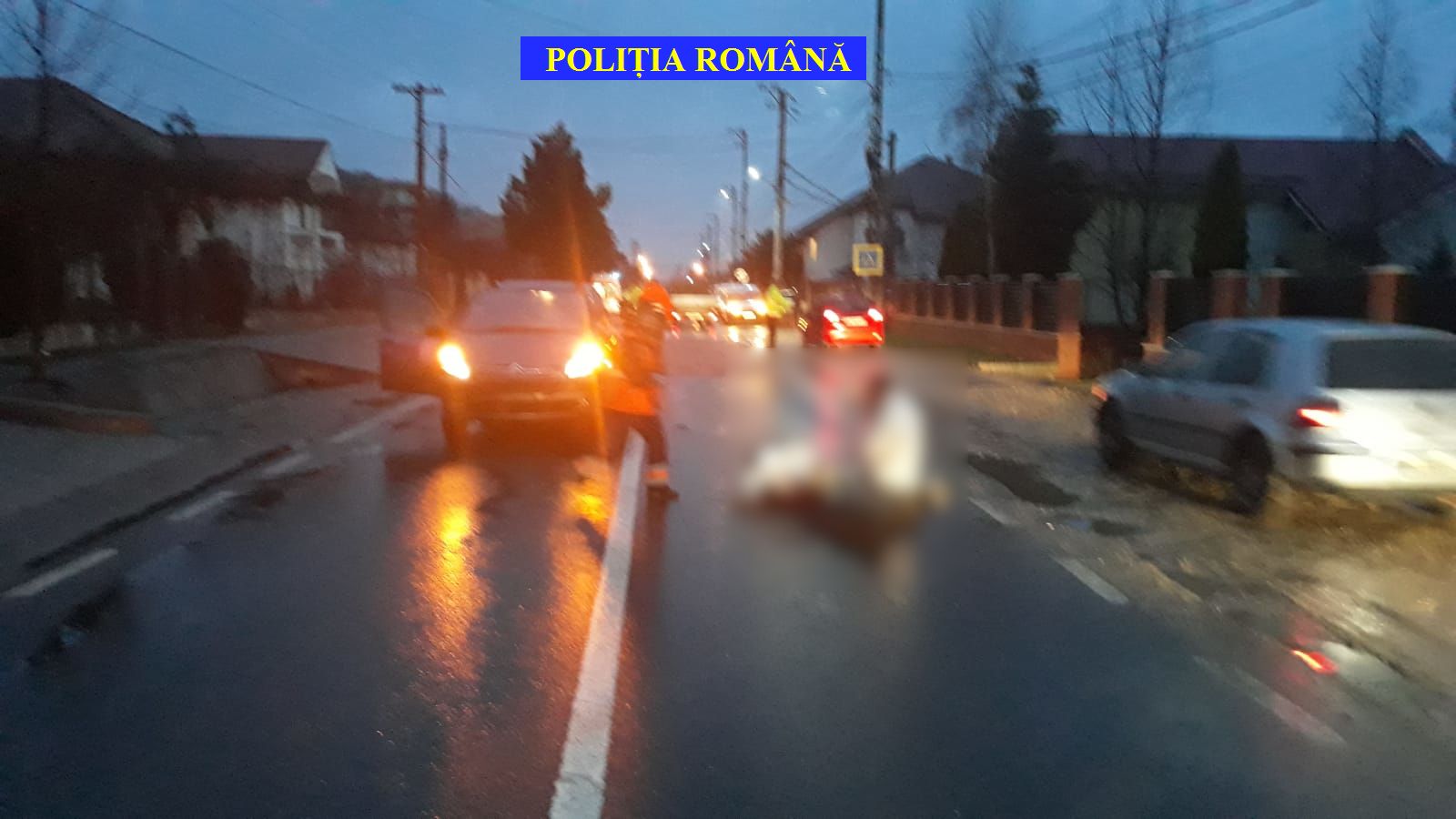 WhatsApp Image 2019-02-07 at 08.16.19