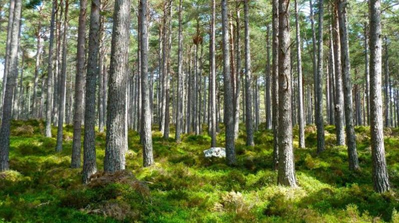 64C33F22-985C-4146-817F-3E06592B48D4