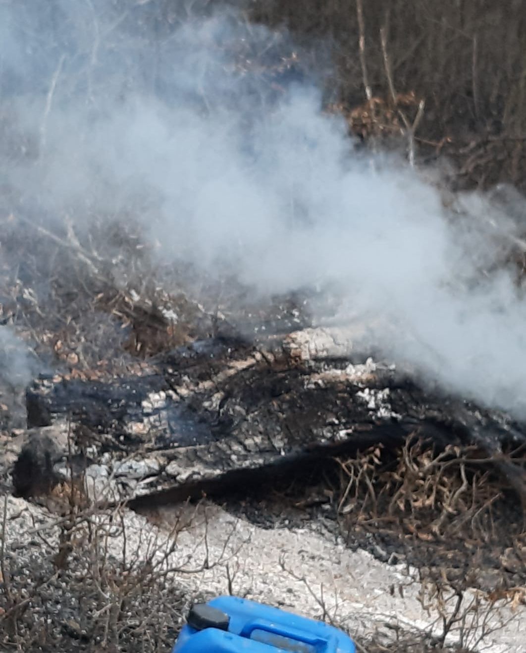 A1C6799B-1BAC-40A8-8DD5-DC534221E0B8