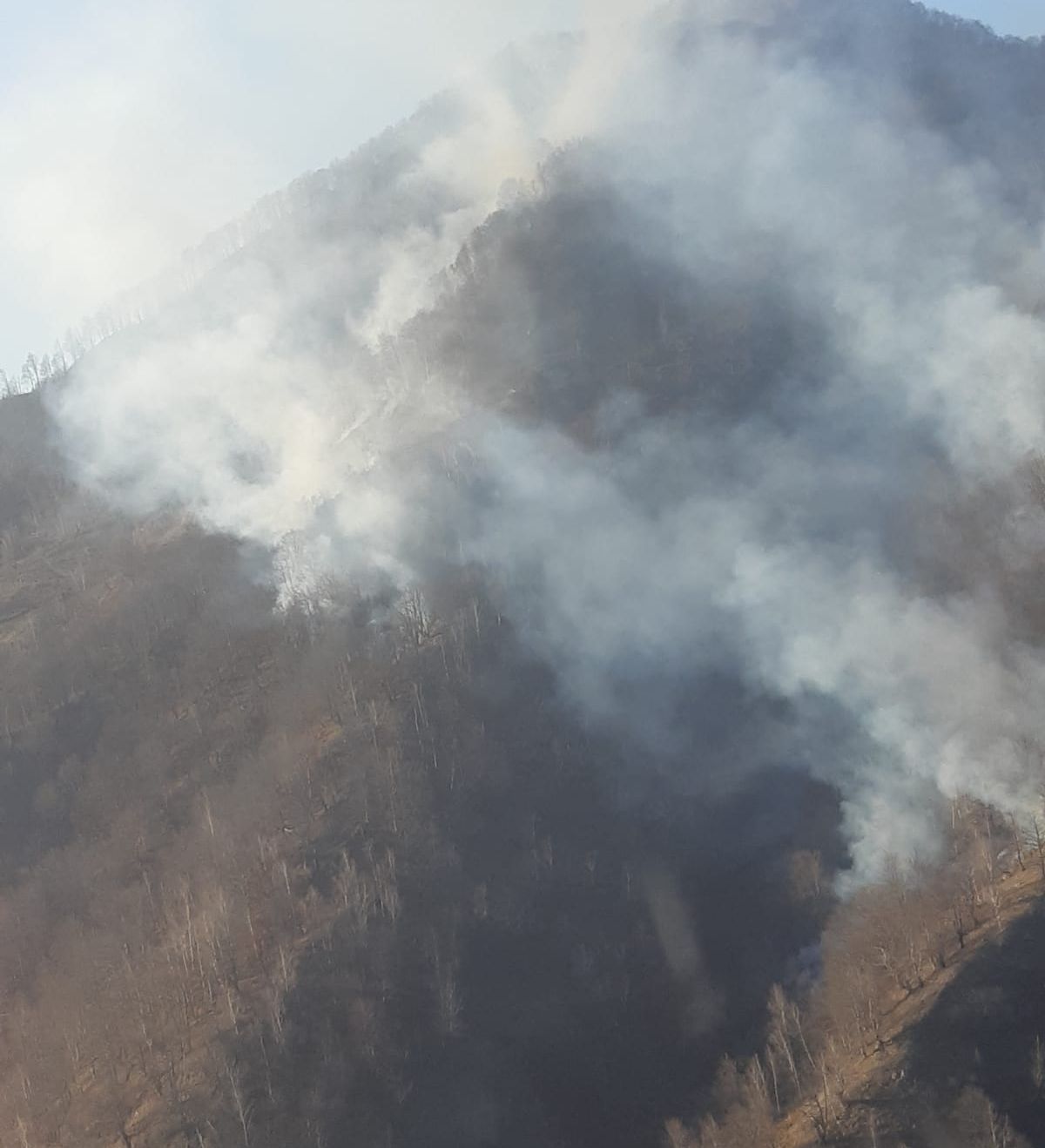 WhatsApp Image 2019-03-24 at 18.49.15