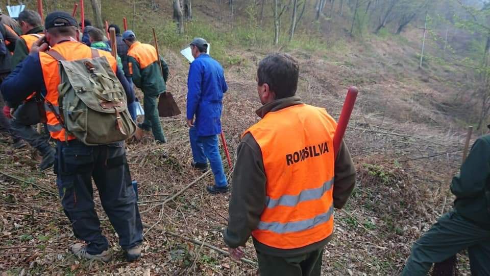 50C5166E-F44D-49D3-9336-1B33E1522929