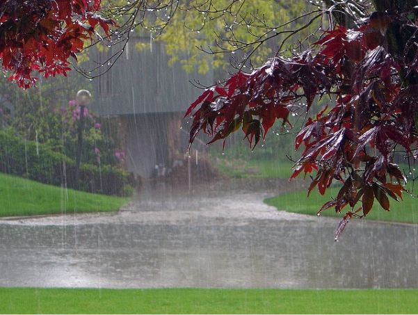 16DF4300-3FA6-4846-BFA7-DEF0F2C1608C