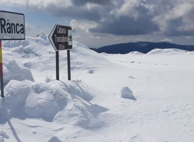 3DC9D524-84D1-4173-96D9-C1EBC929323A