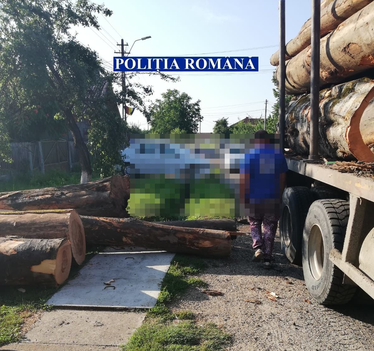 confiscare material lemnos (1)