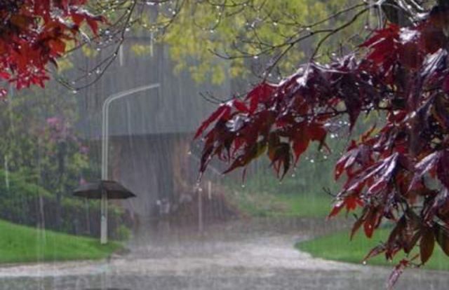 408B2043-B38B-4456-8A8D-2CF608E6CD86