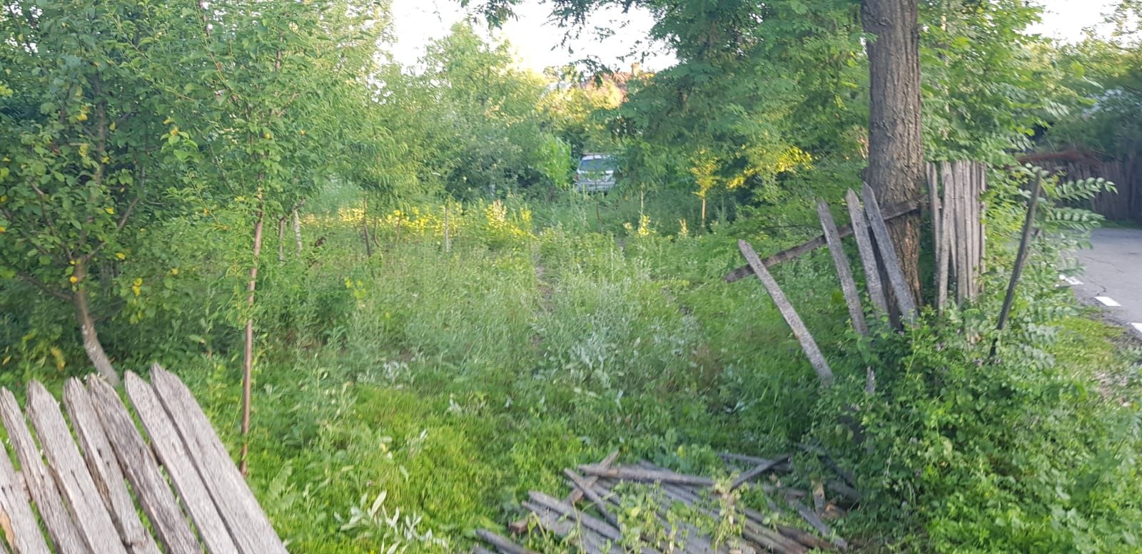 ev rutier Susani (3)