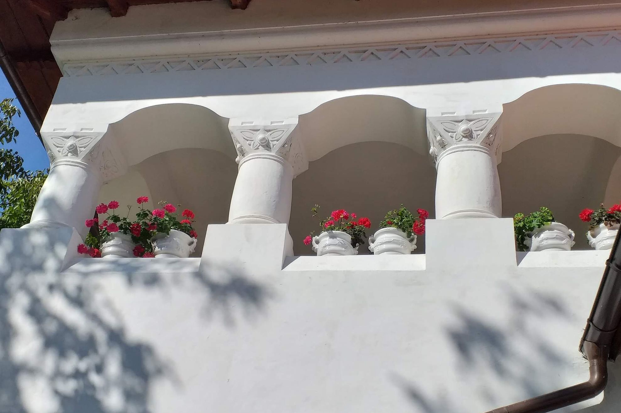 86D8AF84-5AE5-48B7-89FD-EE78324FB63A