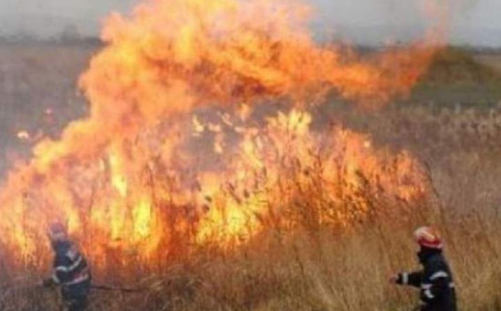 526D173D-4C85-4A21-BB74-54DB0FBFB501