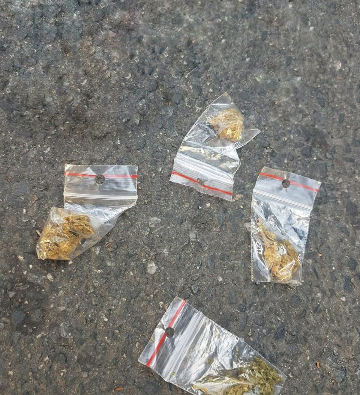 71161341_563944681027654_378643934563270656_n (1)