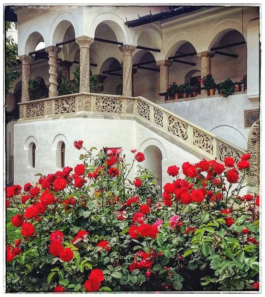 C5FC0D7A-A380-46B6-B2D1-55FDF2FDB2E6