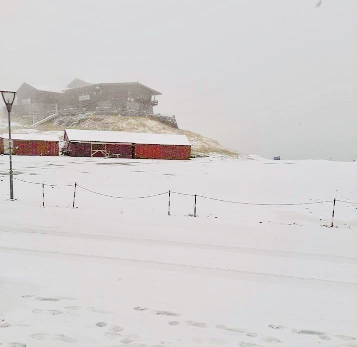 14AEA19E-16A3-46D0-9D4D-B78D9357FB80