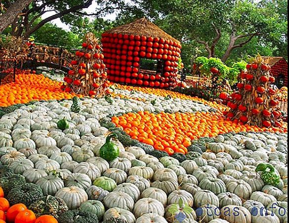 3BF035EF-BD86-4940-AD71-731919C5466C