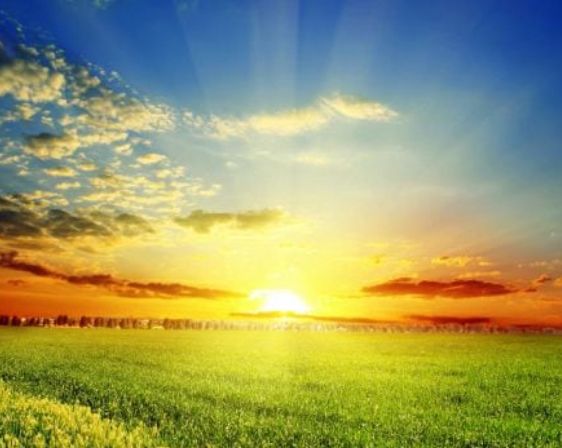 4D2C5580-23F6-42E8-BA0C-1E22E676D848