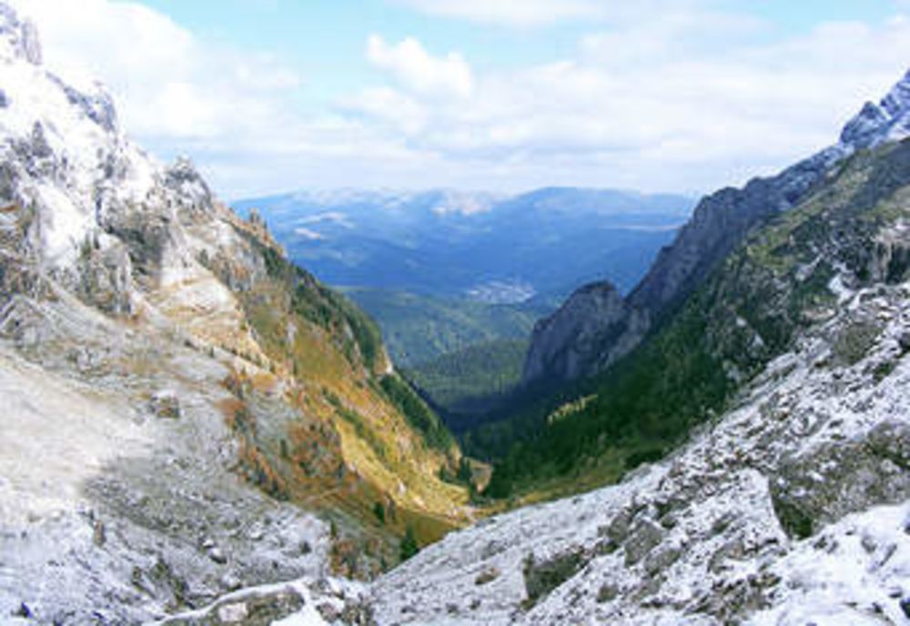 Cod portocaliu în județul Vâlcea !