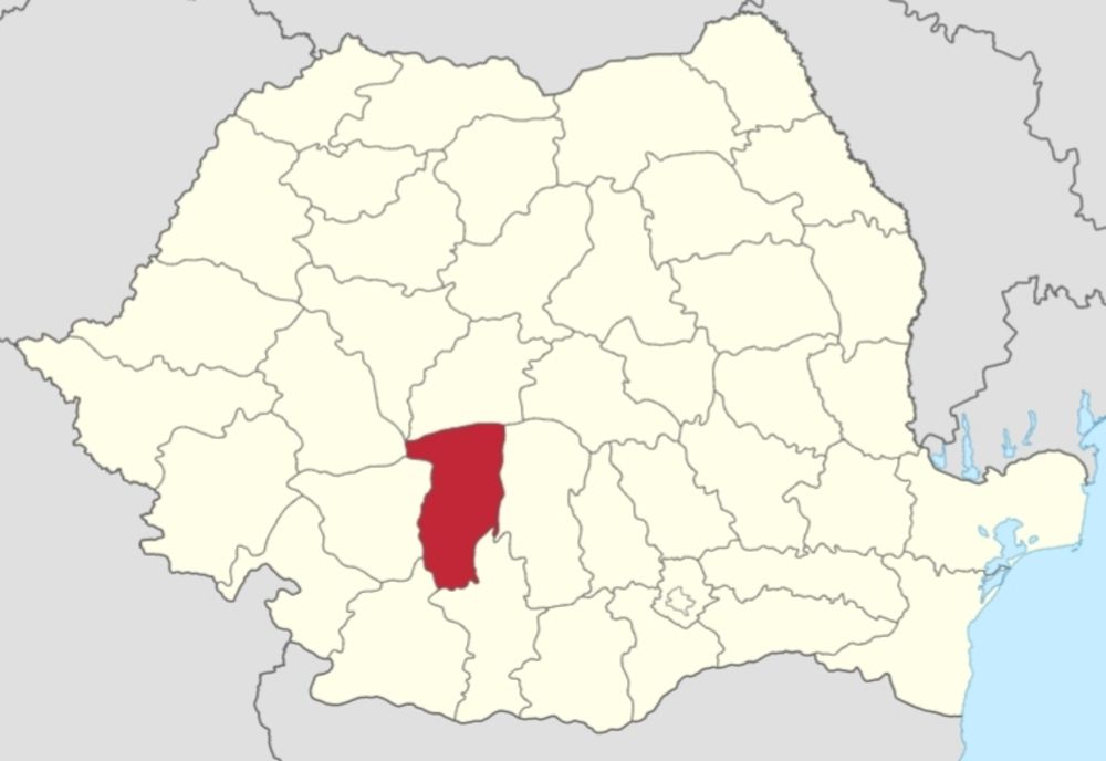 Două focare de pestă porcină descoperite în Vâlcea, la începutul anului, au fost eradicate