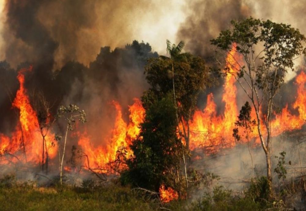 9 incendii de vegetație în Vâlcea