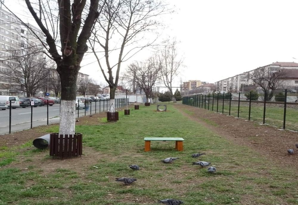 Spații pentru plimbarea câinilor, în Râmnic