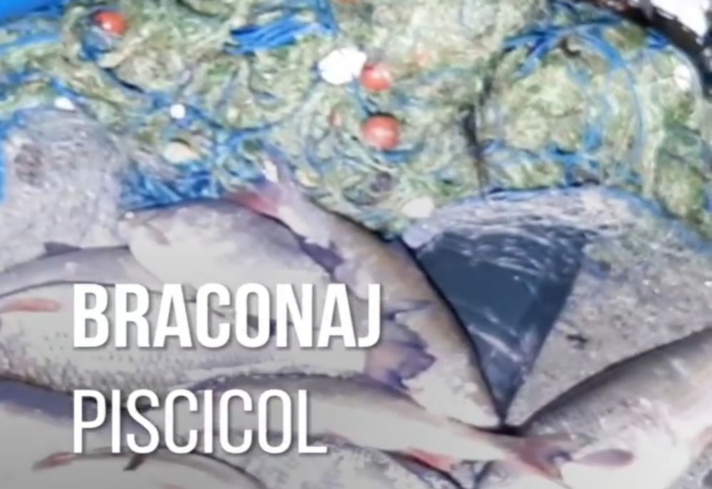 Braconaj piscicol și acțiuni de prevenție în Vâlcea