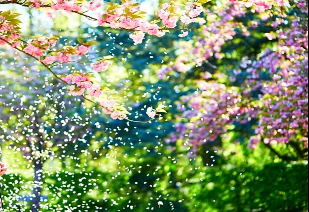 Vreme călduroasă astăzi, în regiunile de sud est