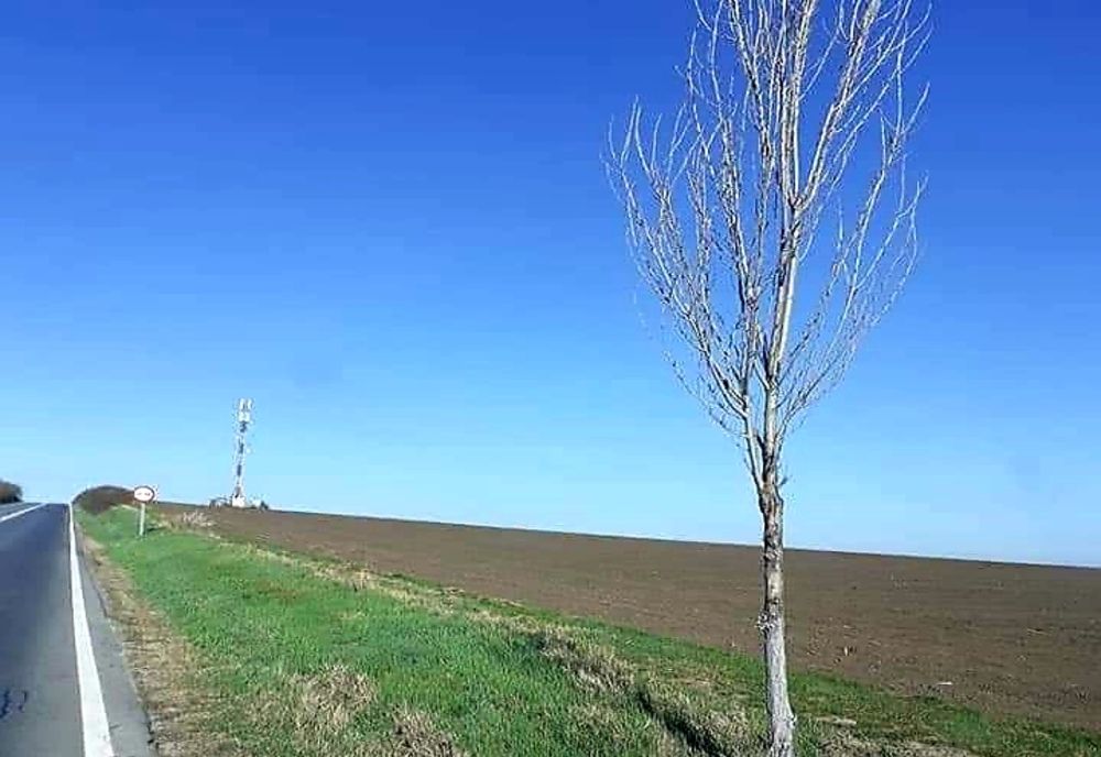 Restricții de circulație în localitățile Călimănești și Brezoi, din județul Vâlcea