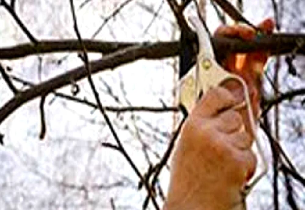 Sunt instituite restricții de circulație, la această oră, în mai multe zone ale județului Vâlcea