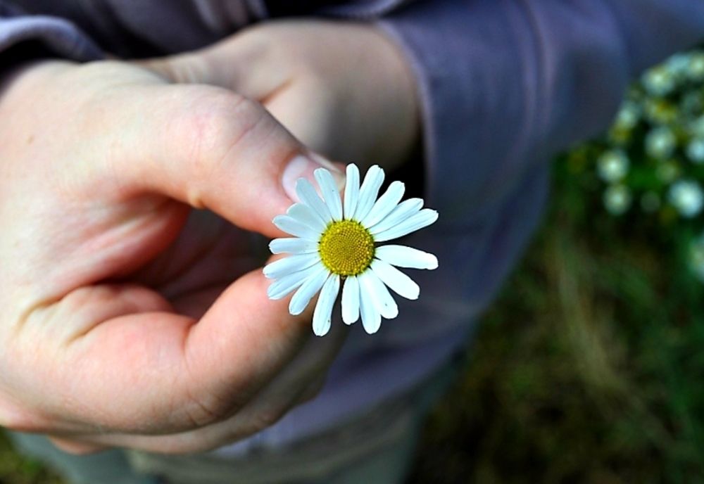 Av paś o Del", acțiuni filantropice