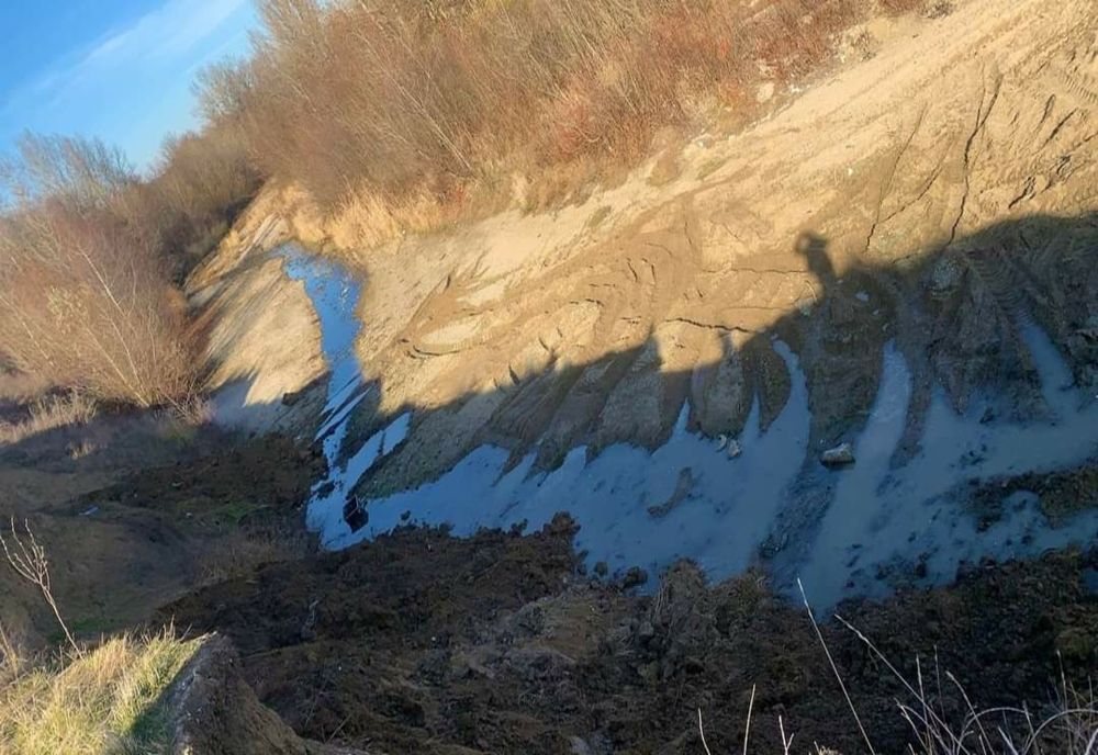 Cercetări în cazul resturilor de animale aruncate în albia râului Cotmeana 