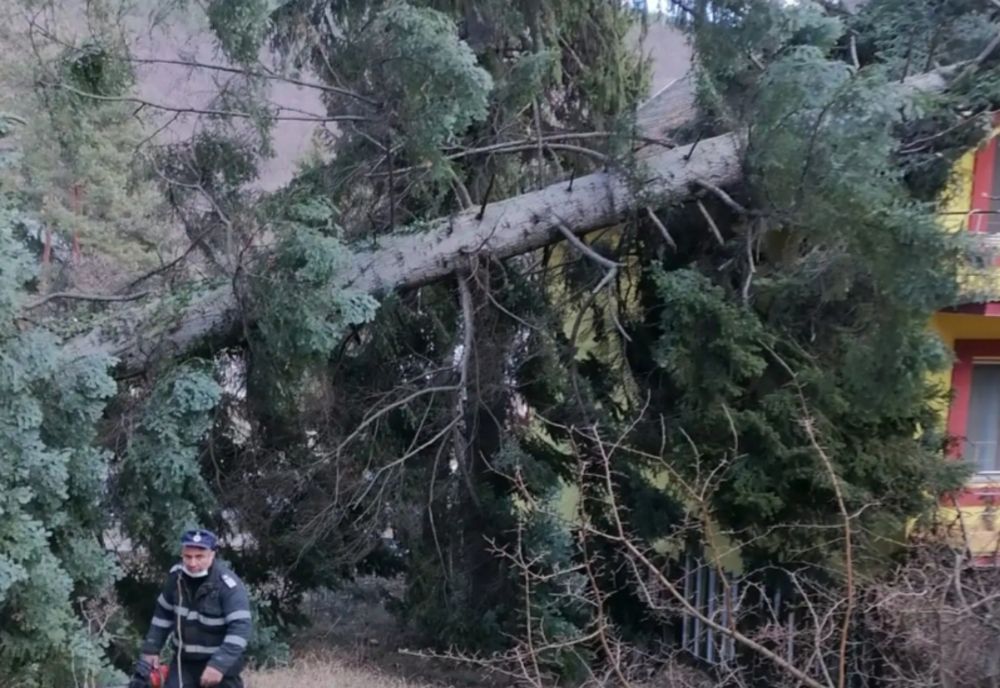 Copaci smulsi din rădăcini de rafalele de vânt. Cabană afectată