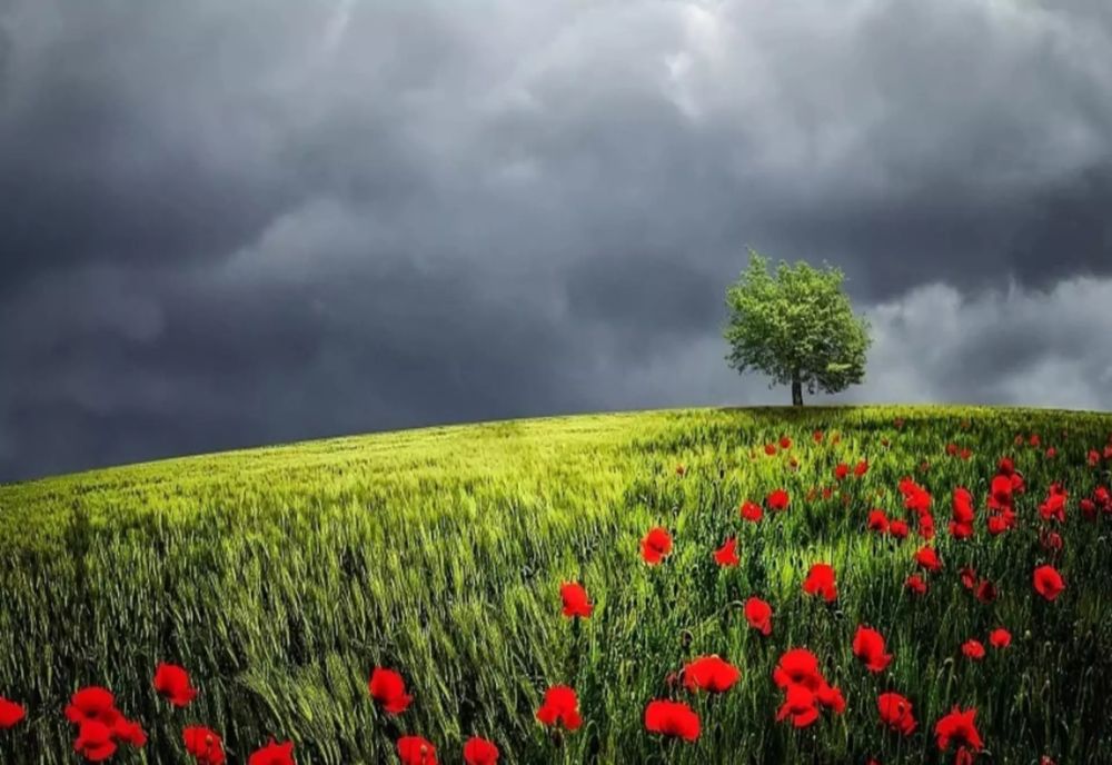 Vreme răcoroasă astăzi. Ce zone sunt vizate