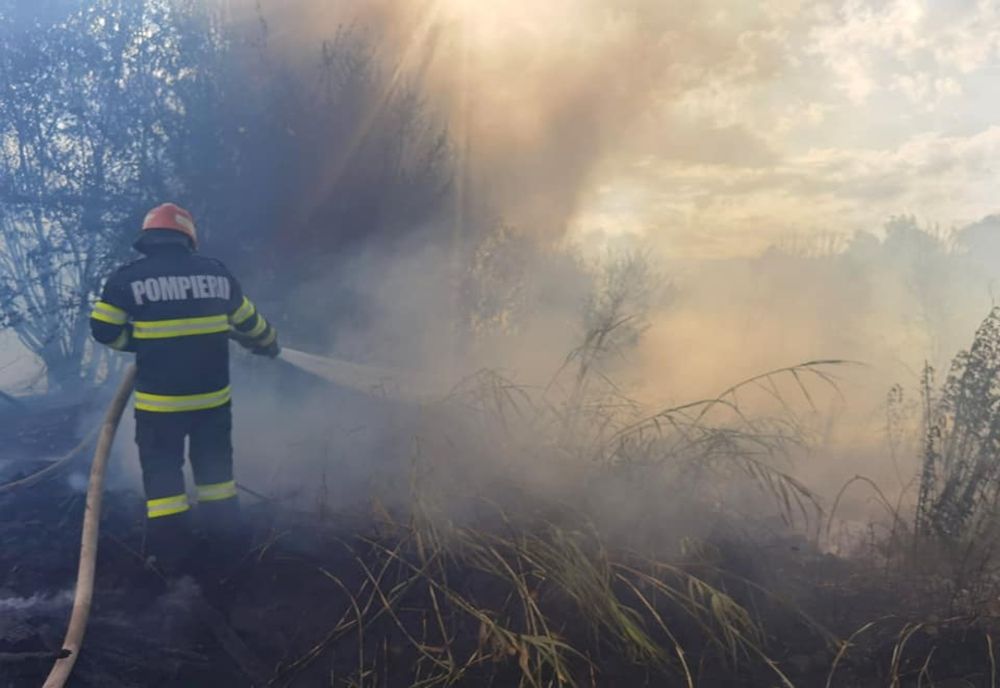 Incendiu de vegetaţie uscată la Vâlcea. Există posibilitatea de extindere spre munte