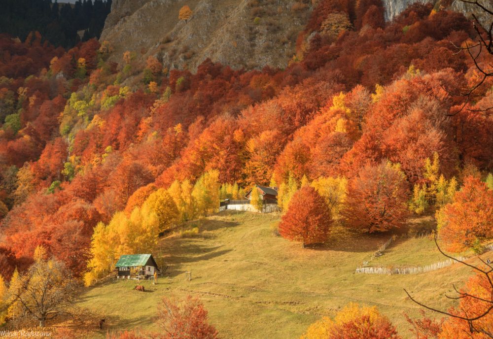 Cum va fi vremea astăzi. Unde se anunță ninsori