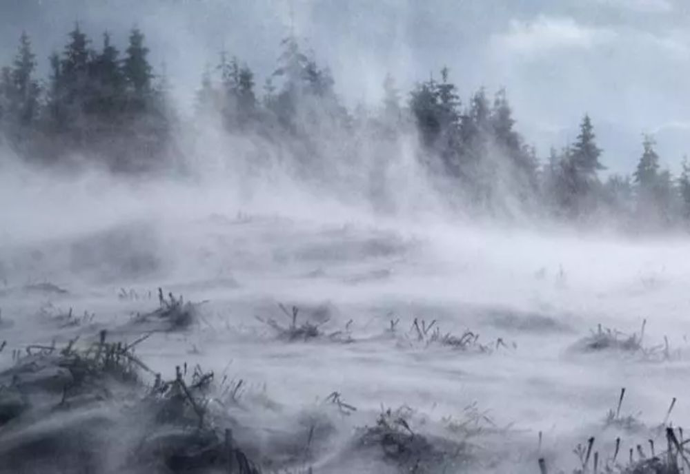 Ninsori și intensificări ale vântului, începând de astăzi. Atentionare meteo