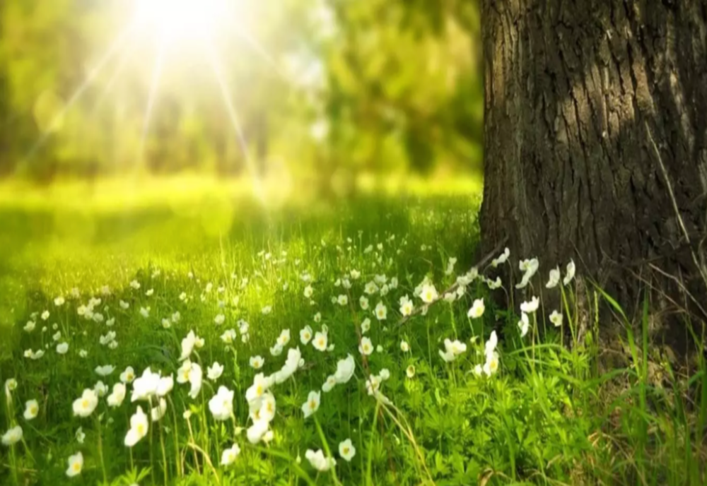 VREMEA 12 AUGUST. VREME CĂLDUROASĂ ÎN MAJORITATEA ZONELOR 